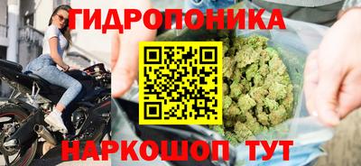 спиды Будённовск