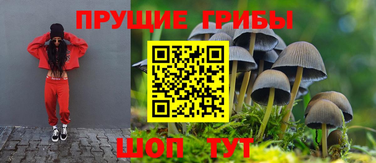 Псилоцибиновые грибы ЛСД  Галлюциногенные грибы Cubensis  Балахна  Вход с VPN 